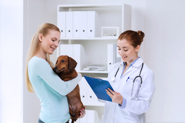 ЭЦП для оформления ветеринарных сертификатов (ГИС Меркурий) в Набережных Челнах